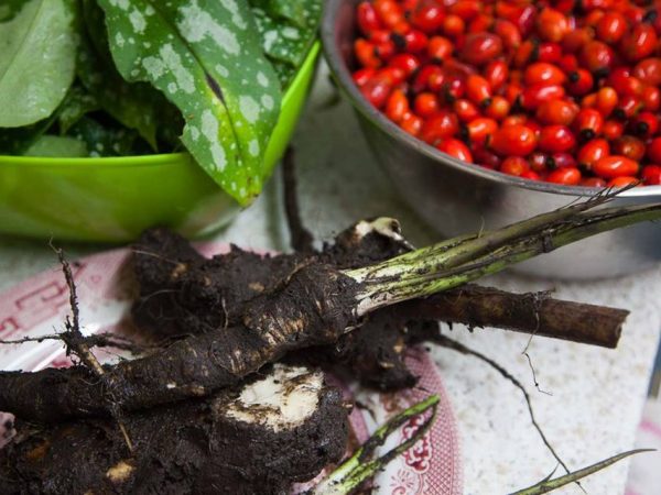 Late Autumn Medicines