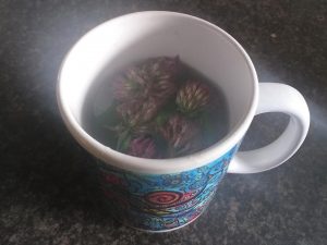 Red clover tea