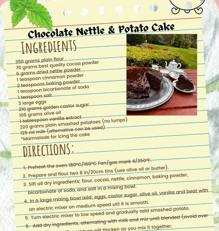 Chocolate Nettle and Potato cake