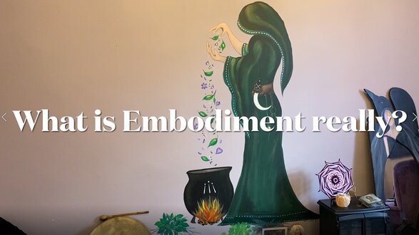 What is Embodiment Really?
