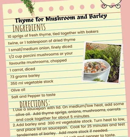 Thyme for Mushroom and Barley Recipe by Priestess Sadie